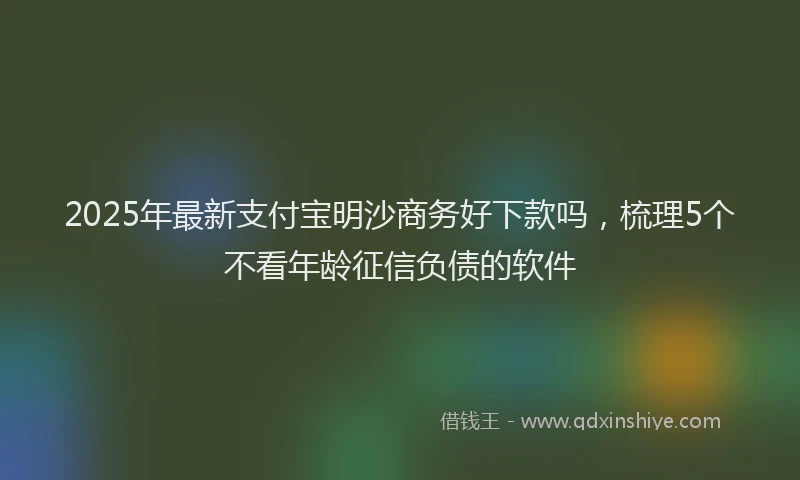 2025年最新支付宝明沙商务好下款吗，梳理5个不看年龄征信负债的软件