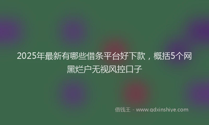 2025年最新有哪些借条平台好下款，概括5个网黑烂户无视风控口子