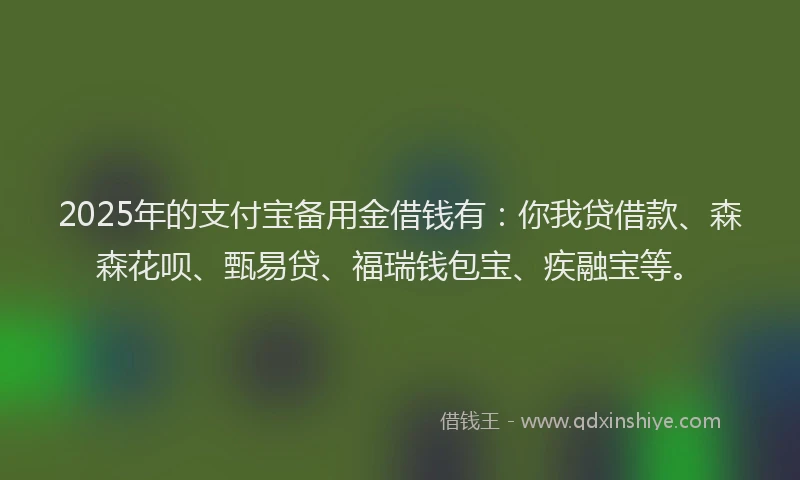 2025年的支付宝备用金借钱有：你我贷借款、森森花呗、甄易贷、福瑞钱包宝、疾融宝等。