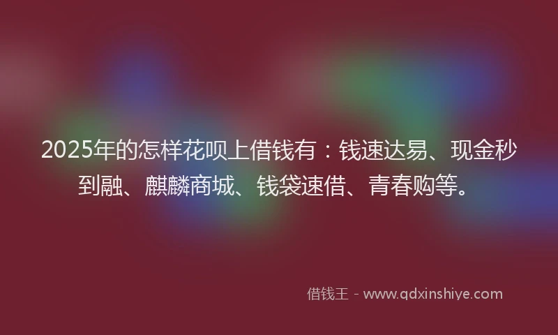 2025年的怎样花呗上借钱有：钱速达易、现金秒到融、麒麟商城、钱袋速借、青春购等。