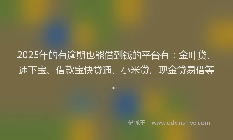 2025年的有逾期也能借到钱的平台有：金叶贷、速下宝、借款宝快贷通、小米贷、现金贷易借等。