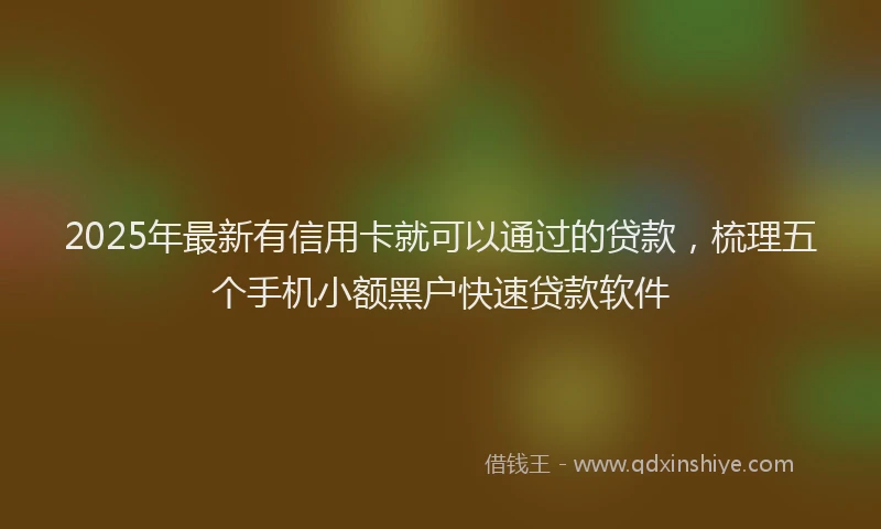 2025年最新有信用卡就可以通过的贷款，梳理五个手机小额黑户快速贷款软件