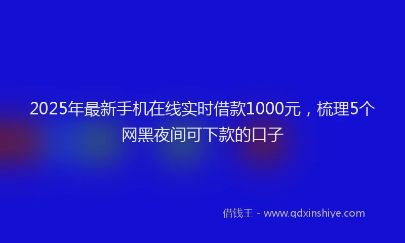 2025年最新手机在线实时借款1000元，梳理5个网黑夜间可下款的口子