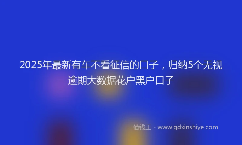 2025年最新有车不看征信的口子，归纳5个无视逾期大数据花户黑户口子