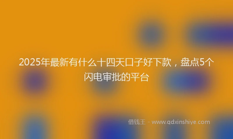 2025年最新有什么十四天口子好下款，盘点5个闪电审批的平台
