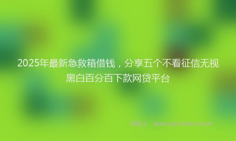 2025年最新急救箱借钱，分享五个不看征信无视黑白百分百下款网贷平台