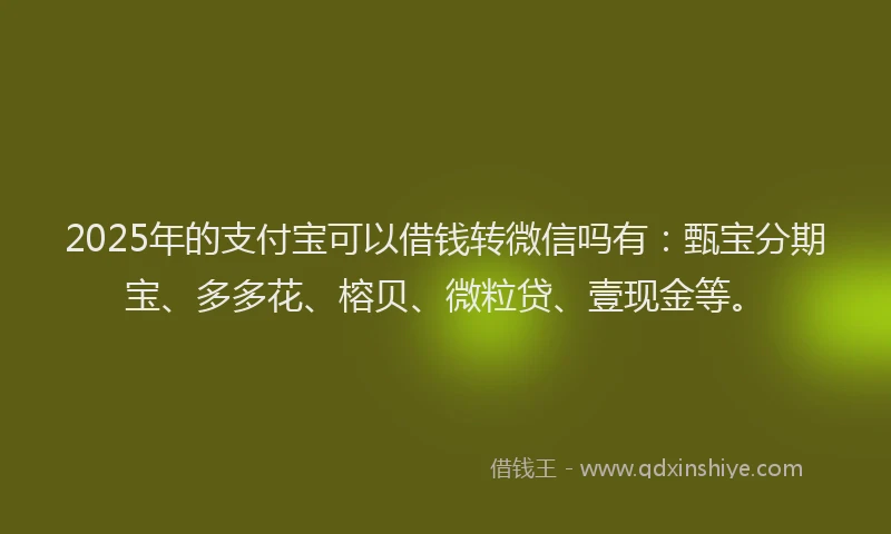 2025年的支付宝可以借钱转微信吗有：甄宝分期宝、多多花、榕贝、微粒贷、壹现金等。