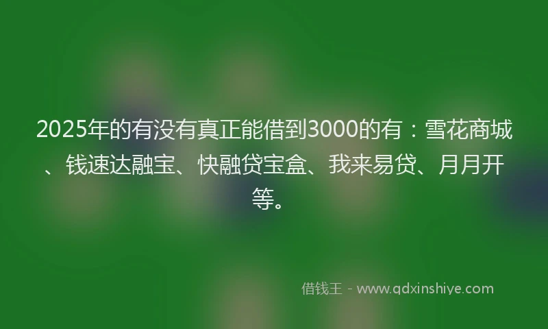 2025年的有没有真正能借到3000的有：雪花商城、钱速达融宝、快融贷宝盒、我来易贷、月月开等。