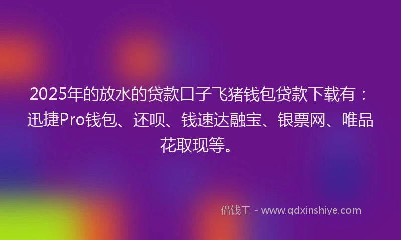 2025年的放水的贷款口子飞猪钱包贷款下载有：迅捷Pro钱包、还呗、钱速达融宝、银票网、唯品花取现等。