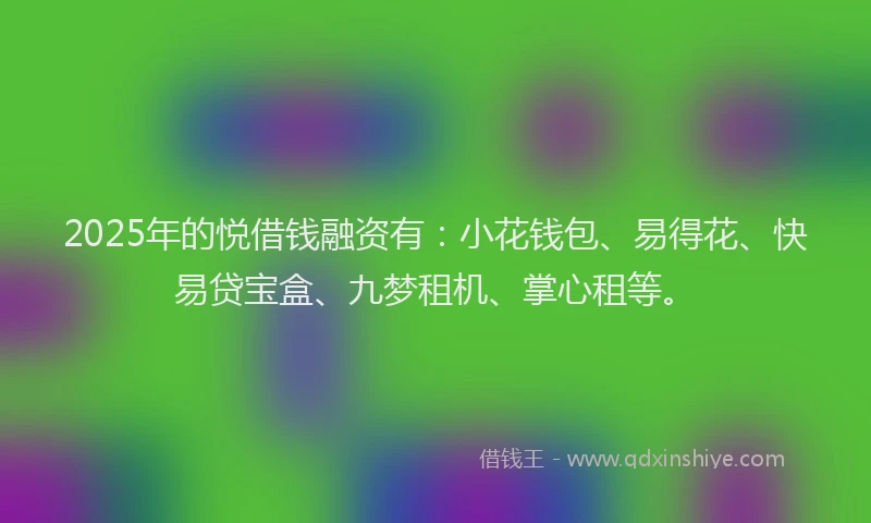 2025年的悦借钱融资有：小花钱包、易得花、快易贷宝盒、九梦租机、掌心租等。