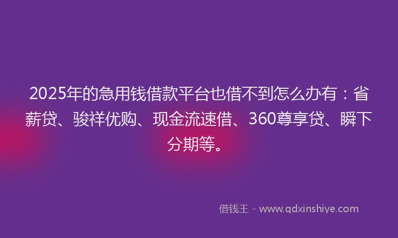 2025年的急用钱借款平台也借不到怎么办有：省薪贷、骏祥优购、现金流速借、360尊享贷、瞬下分期等。
