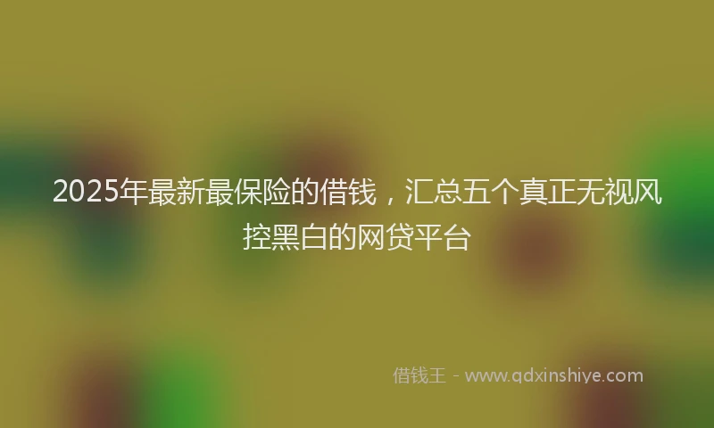 2025年最新最保险的借钱，汇总五个真正无视风控黑白的网贷平台