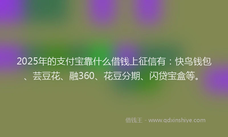 2025年的支付宝靠什么借钱上征信有：快鸟钱包、芸豆花、融360、花豆分期、闪贷宝盒等。
