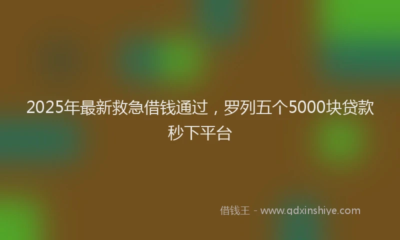 2025年最新救急借钱通过，罗列五个5000块贷款秒下平台