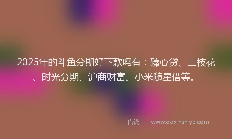 2025年的斗鱼分期好下款吗有：臻心贷、三枝花、时光分期、沪商财富、小米随星借等。