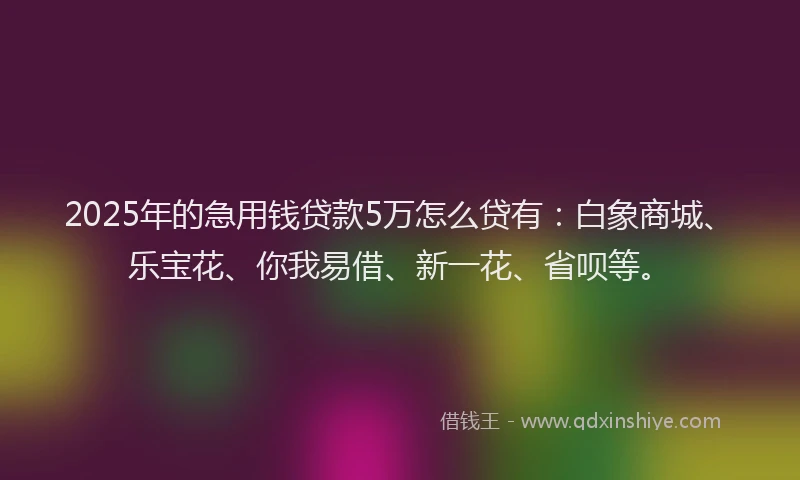 2025年的急用钱贷款5万怎么贷有：白象商城、乐宝花、你我易借、新一花、省呗等。