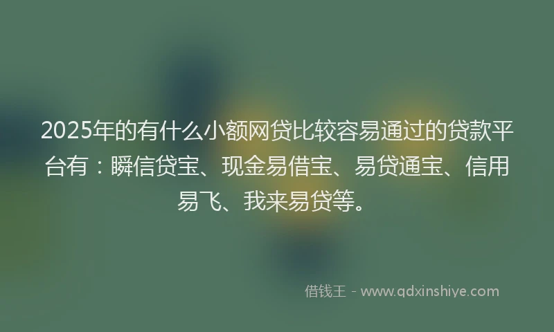 2025年的有什么小额网贷比较容易通过的贷款平台有：瞬信贷宝、现金易借宝、易贷通宝、信用易飞、我来易贷等。