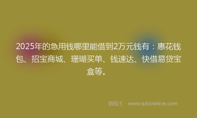 2025年的急用钱哪里能借到2万元钱有：惠花钱包、招宝商城、珊瑚买单、钱速达、快借易贷宝盒等。
