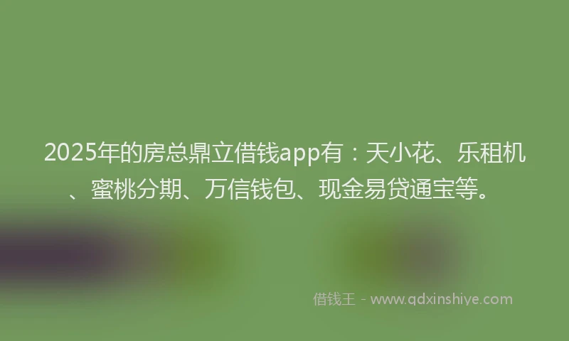 2025年的房总鼎立借钱app有：天小花、乐租机、蜜桃分期、万信钱包、现金易贷通宝等。