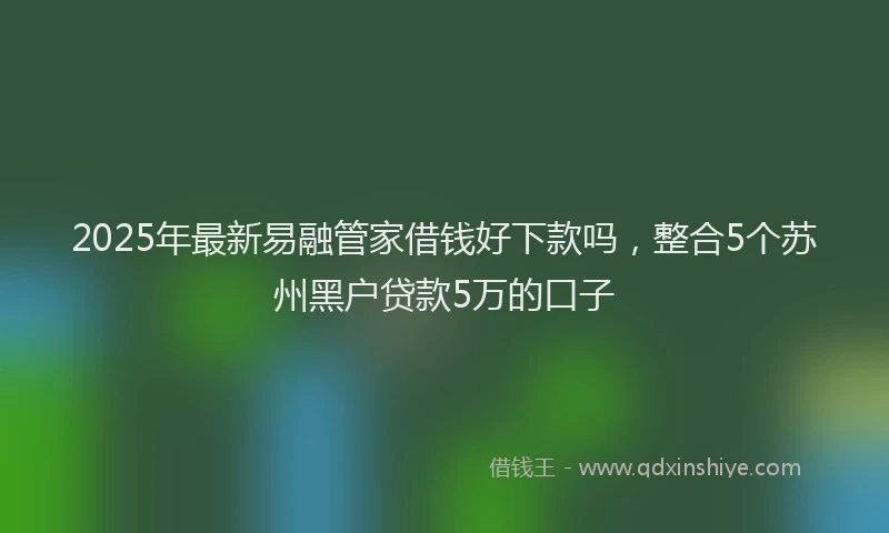 2025年最新易融管家借钱好下款吗，整合5个苏州黑户贷款5万的口子