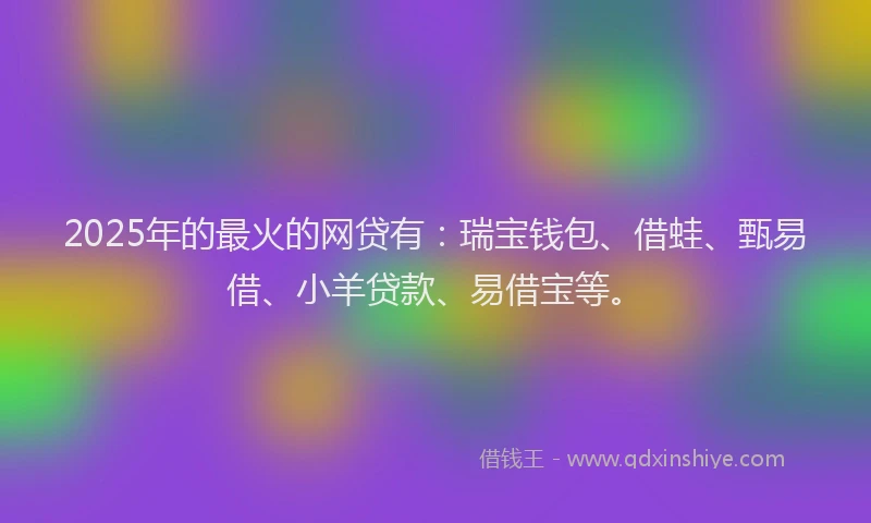 2025年的最火的网贷有：瑞宝钱包、借蛙、甄易借、小羊贷款、易借宝等。