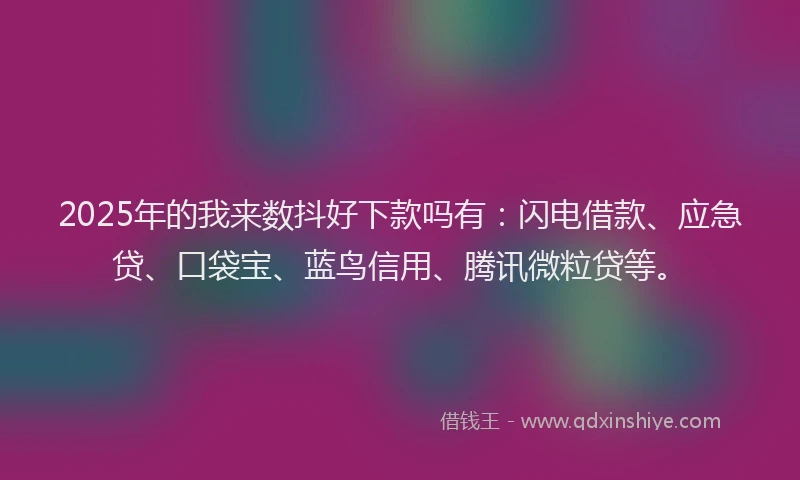 2025年的我来数抖好下款吗有：闪电借款、应急贷、口袋宝、蓝鸟信用、腾讯微粒贷等。