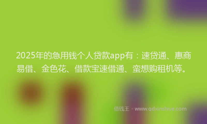 2025年的急用钱个人贷款app有：速贷通、惠商易借、金色花、借款宝速借通、蛮想购租机等。