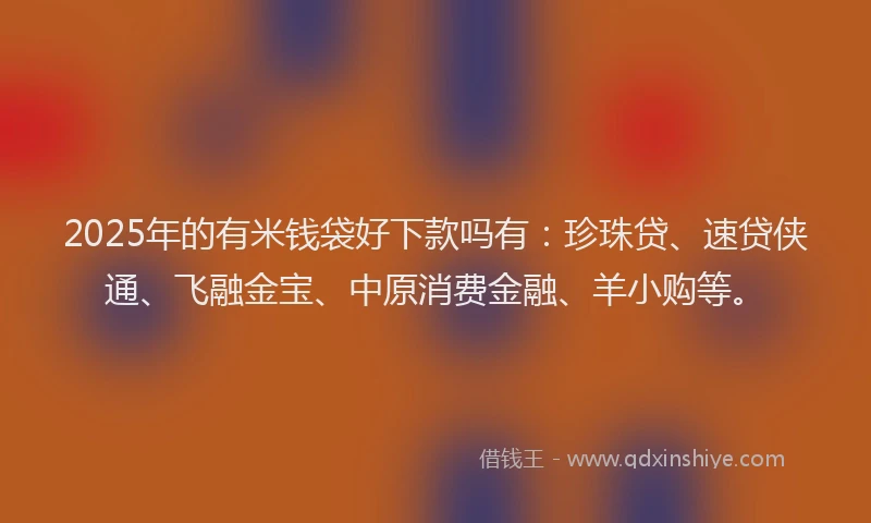2025年的有米钱袋好下款吗有：珍珠贷、速贷侠通、飞融金宝、中原消费金融、羊小购等。