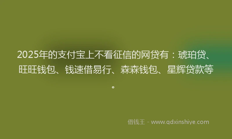 2025年的支付宝上不看征信的网贷有：琥珀贷、旺旺钱包、钱速借易行、森森钱包、星辉贷款等。