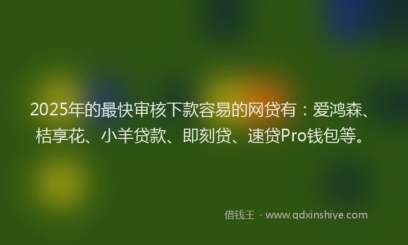 2025年的最快审核下款容易的网贷有：爱鸿森、桔享花、小羊贷款、即刻贷、速贷Pro钱包等。