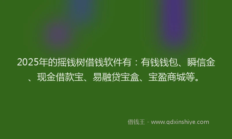 2025年的摇钱树借钱软件有：有钱钱包、瞬信金、现金借款宝、易融贷宝盒、宝盈商城等。
