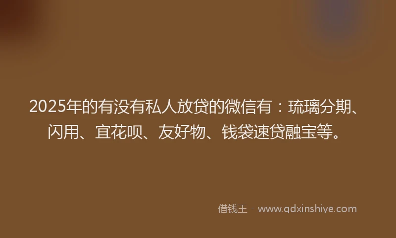 2025年的有没有私人放贷的微信有：琉璃分期、闪用、宜花呗、友好物、钱袋速贷融宝等。