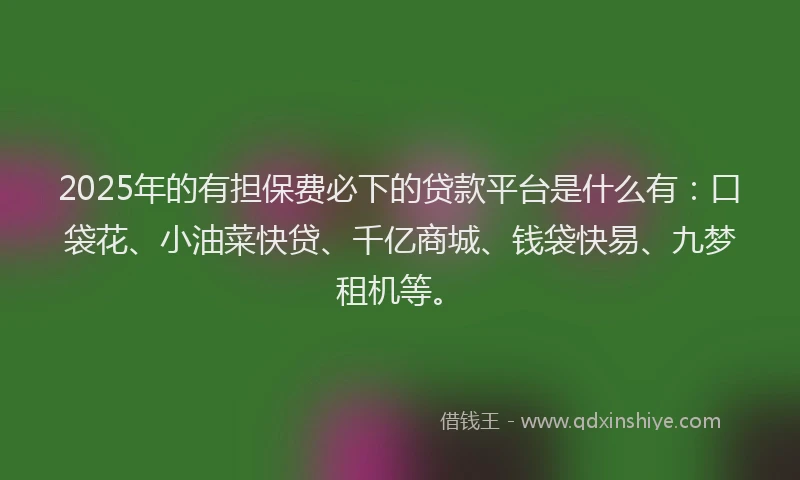 2025年的有担保费必下的贷款平台是什么有：口袋花、小油菜快贷、千亿商城、钱袋快易、九梦租机等。