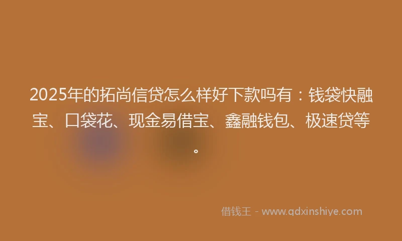 2025年的拓尚信贷怎么样好下款吗有：钱袋快融宝、口袋花、现金易借宝、鑫融钱包、极速贷等。
