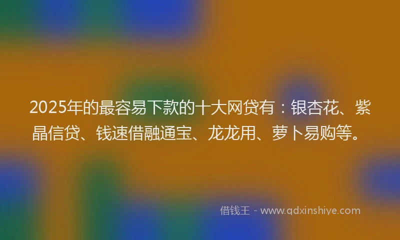 2025年的最容易下款的十大网贷有:银杏花、紫晶信贷、钱速借融通宝、龙龙用、萝卜易购等。