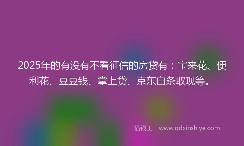 2025年的有没有不看征信的房贷有：宝来花、便利花、豆豆钱、掌上贷、京东白条取现等。