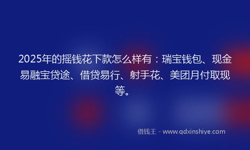 2025年的摇钱花下款怎么样有：瑞宝钱包、现金易融宝贷途、借贷易行、射手花、美团月付取现等。