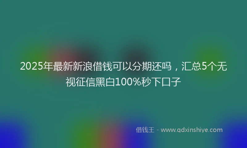 2025年最新新浪借钱可以分期还吗，汇总5个无视征信黑白100%秒下口子