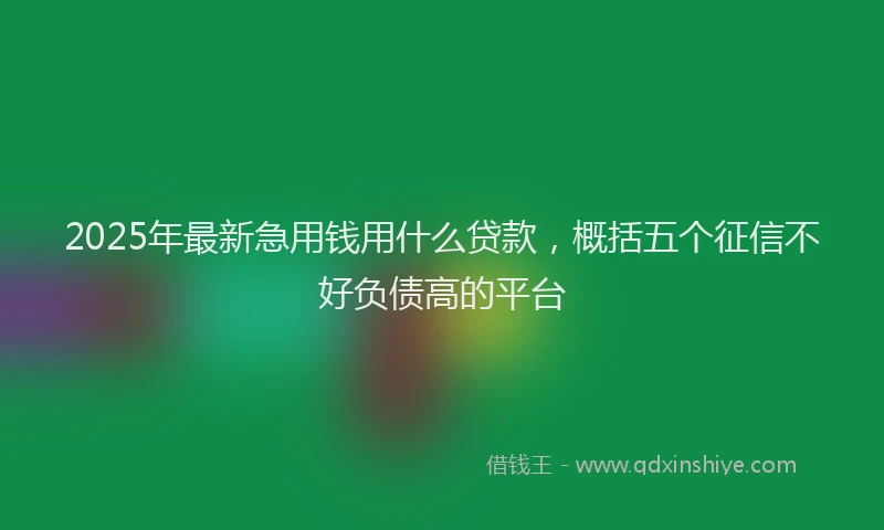 2025年最新急用钱用什么贷款，概括五个征信不好负债高的平台
