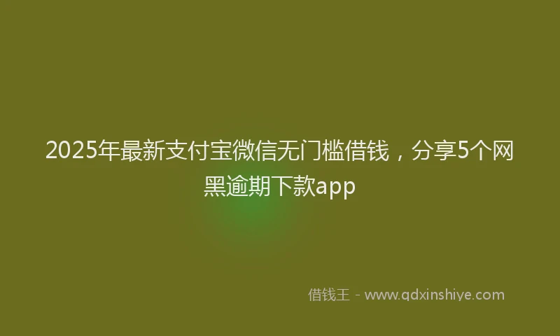 2025年最新支付宝微信无门槛借钱，分享5个网黑逾期下款app
