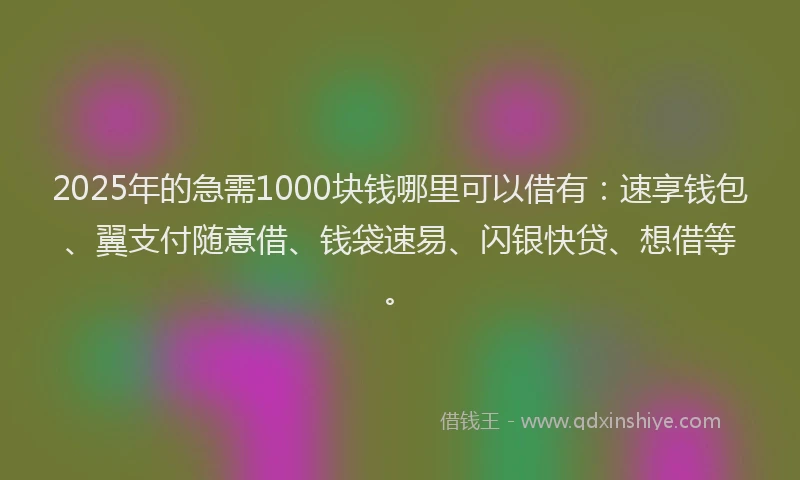 2025年的急需1000块钱哪里可以借有：速享钱包、翼支付随意借、钱袋速易、闪银快贷、想借等。