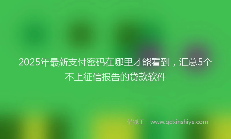 2025年最新支付密码在哪里才能看到，汇总5个不上征信报告的贷款软件