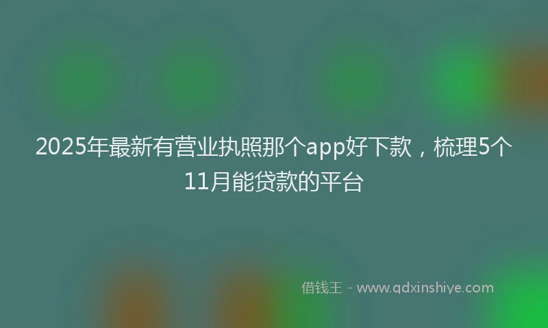 2025年最新有营业执照那个app好下款，梳理5个11月能贷款的平台