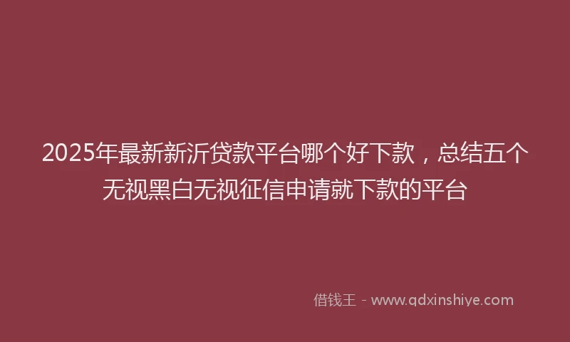 2025年最新新沂贷款平台哪个好下款，总结五个无视黑白无视征信申请就下款的平台