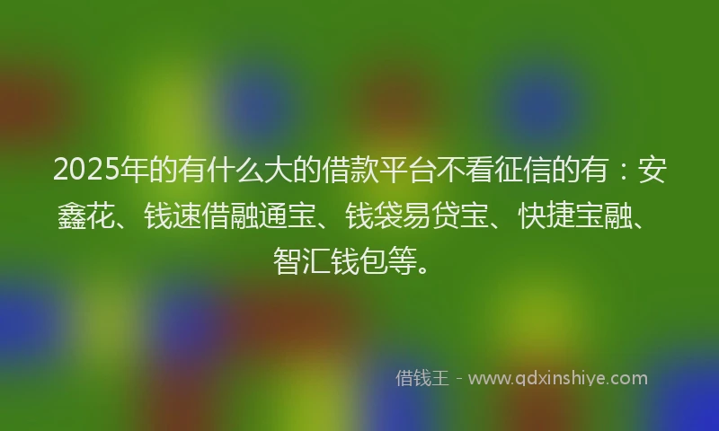 2025年的有什么大的借款平台不看征信的有：安鑫花、钱速借融通宝、钱袋易贷宝、快捷宝融、智汇钱包等。