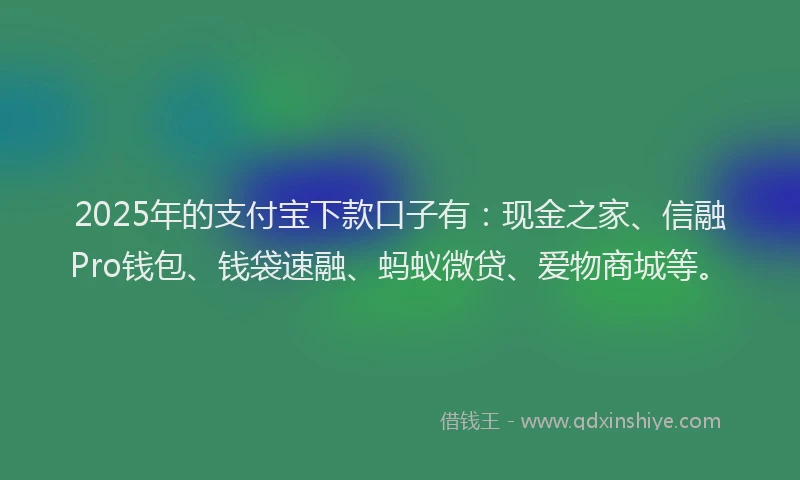 2025年的支付宝下款口子有：现金之家、信融Pro钱包、钱袋速融、蚂蚁微贷、爱物商城等。