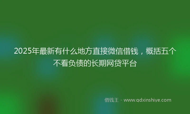 2025年最新有什么地方直接微信借钱，概括五个不看负债的长期网贷平台