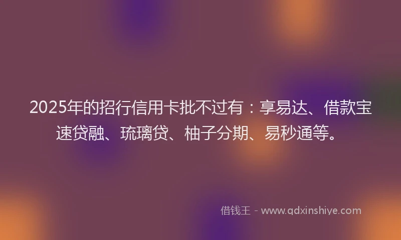 2025年的招行信用卡批不过有：享易达、借款宝速贷融、琉璃贷、柚子分期、易秒通等。