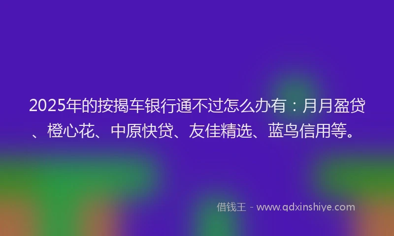 2025年的按揭车银行通不过怎么办有：月月盈贷、橙心花、中原快贷、友佳精选、蓝鸟信用等。