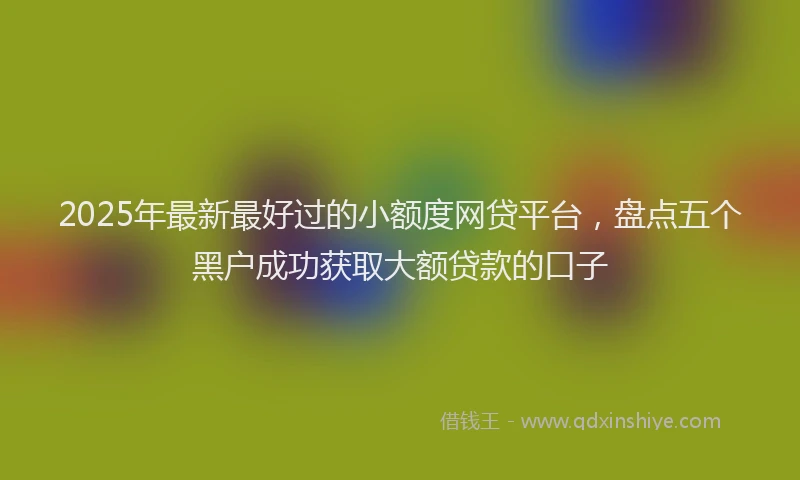 2025年最新最好过的小额度网贷平台，盘点五个黑户成功获取大额贷款的口子